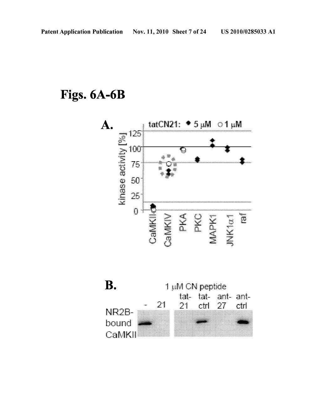 COMPOSITIONS AND METHODS FOR CaMKII INHIBITORS AND USES THEREOF - diagram, schematic, and image 08