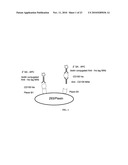 Anti-CD100 Neutralizing Antibodies and Methods of Using the Same diagram and image