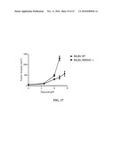 Anti-CD100 Neutralizing Antibodies and Methods of Using the Same diagram and image