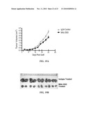 Anti-CD100 Neutralizing Antibodies and Methods of Using the Same diagram and image