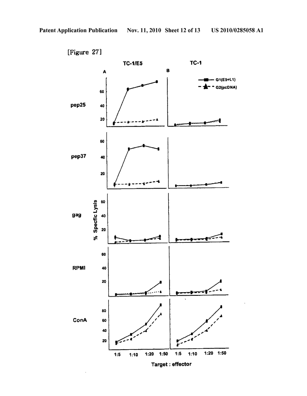 DNA VACCINE FOR TREATING OR PREVENTING CERVICAL CANCER COMPRISING A GENE ENCODING HPV PROTEIN - diagram, schematic, and image 13