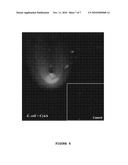 METHOD FOR THE INTERNALIZATION OF NON-INVASIVE BACTERIA IN EUKARYOTE CELLS diagram and image