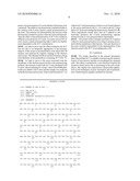 METHOD FOR THE INTERNALIZATION OF NON-INVASIVE BACTERIA IN EUKARYOTE CELLS diagram and image