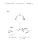 Bactericidal Nanofibers, and Methods of Use Thereof diagram and image