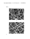 Bactericidal Nanofibers, and Methods of Use Thereof diagram and image