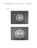 Bactericidal Nanofibers, and Methods of Use Thereof diagram and image