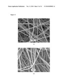 Bactericidal Nanofibers, and Methods of Use Thereof diagram and image