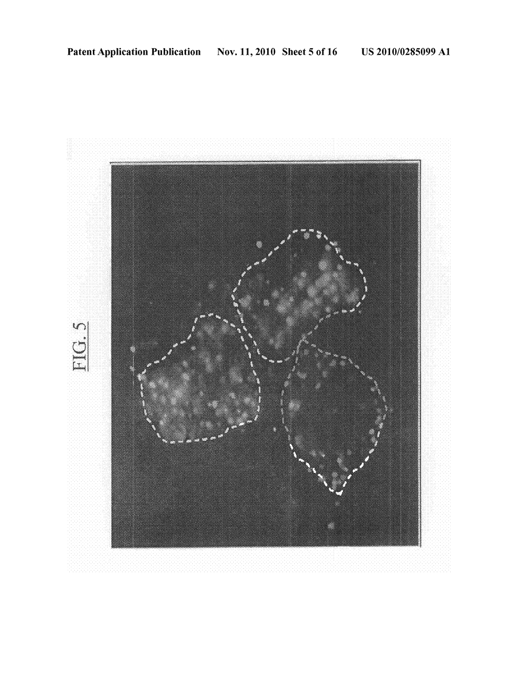 VACCINATION BY TRANSCUTANEOUS TARGETING - diagram, schematic, and image 06