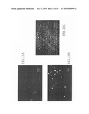 VACCINATION BY TRANSCUTANEOUS TARGETING diagram and image