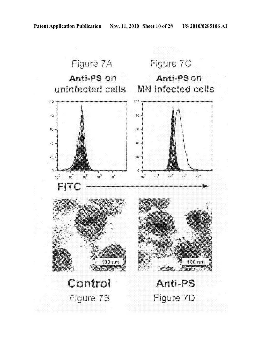 MULTICOMPONENT VACCINE - diagram, schematic, and image 11