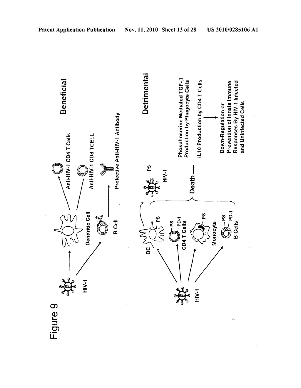 MULTICOMPONENT VACCINE - diagram, schematic, and image 14