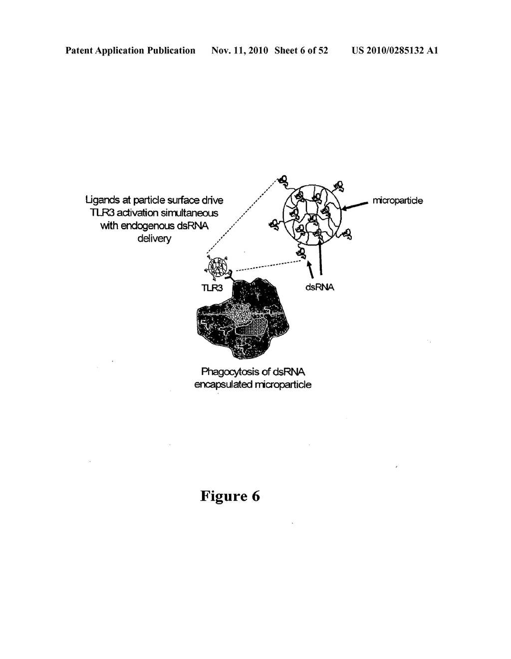 IMMUNOTHERAPY COMPOSITIONS, METHOD OF MAKING AND METHOD OF USE THEREOF - diagram, schematic, and image 07