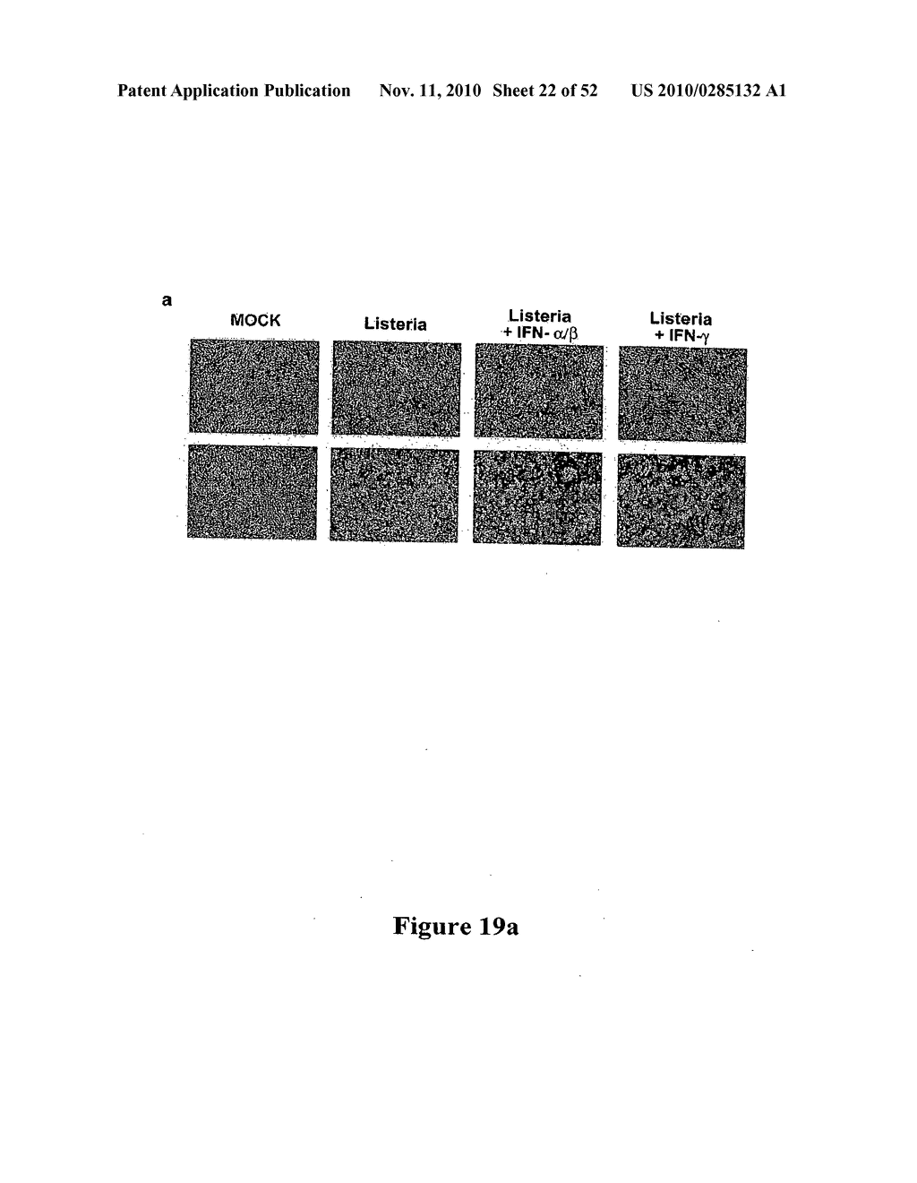 IMMUNOTHERAPY COMPOSITIONS, METHOD OF MAKING AND METHOD OF USE THEREOF - diagram, schematic, and image 23
