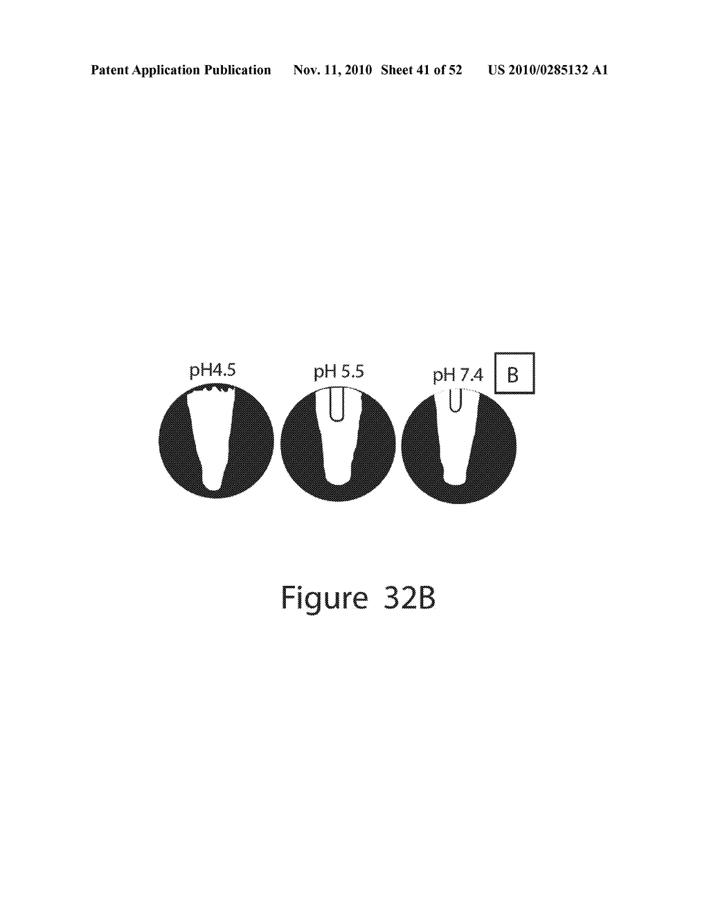 IMMUNOTHERAPY COMPOSITIONS, METHOD OF MAKING AND METHOD OF USE THEREOF - diagram, schematic, and image 42