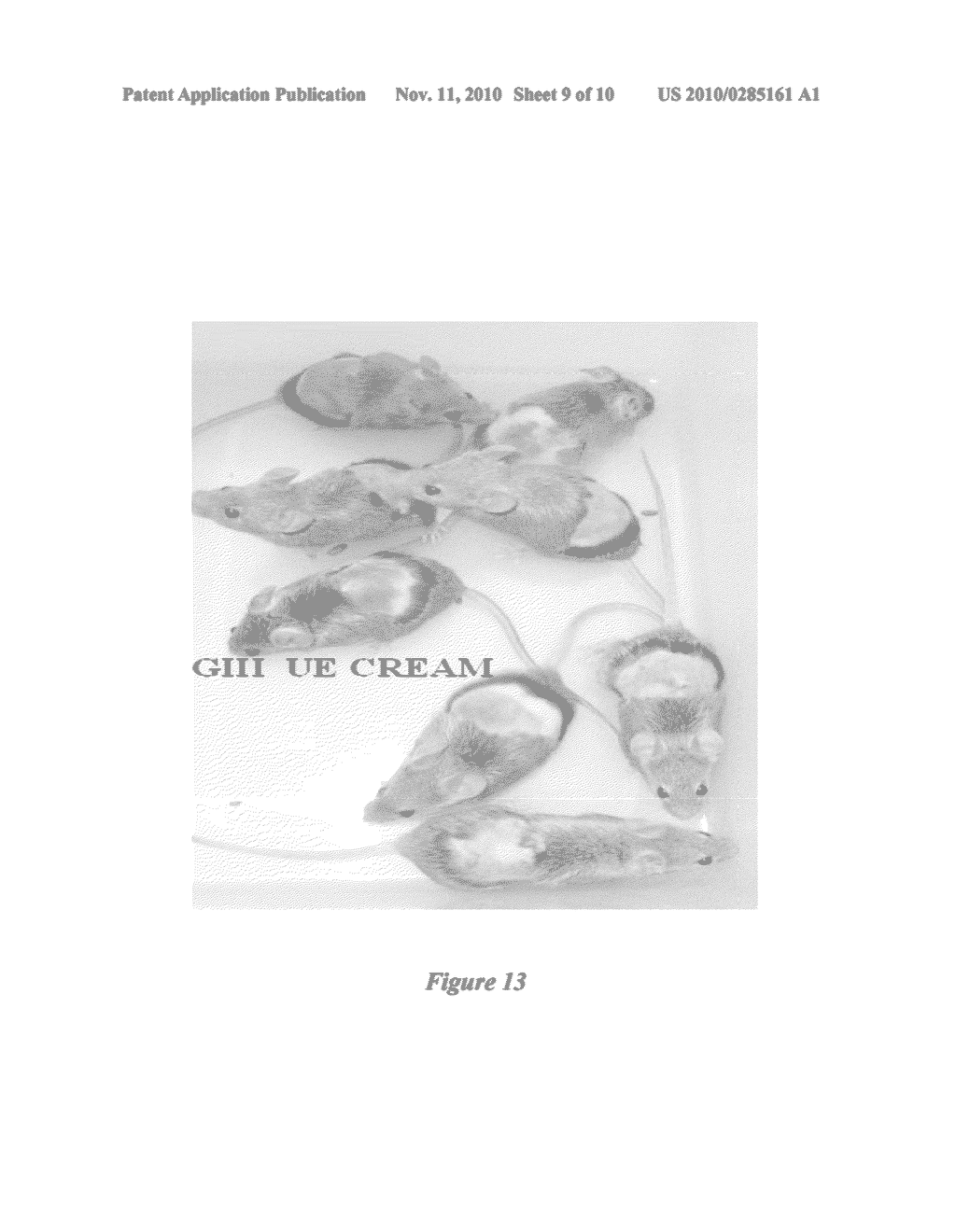 HERBAL COMPOSITION FOR MAINTAINING/CARING THE SKIN AROUND THE EYE, METHODS OF PREPARING THE SAME AND USES THEREOF - diagram, schematic, and image 10