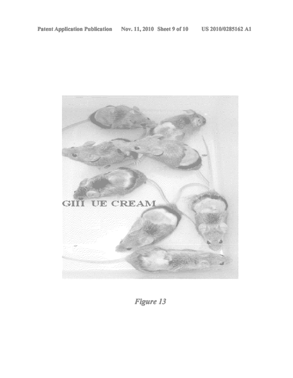 HERBAL COMPOSITION FOR MAINTAINING/CARING THE SKIN AROUND THE EYE, METHODS OF PREPARING THE SAME AND USES THEREOF - diagram, schematic, and image 10