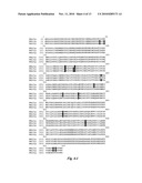 GLUCOSE-INDUCED INACTIVATION/DEGRADATION-RESISTANT TRANSPORTER GENE AND USE THEREOF diagram and image