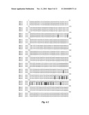 GLUCOSE-INDUCED INACTIVATION/DEGRADATION-RESISTANT TRANSPORTER GENE AND USE THEREOF diagram and image