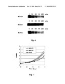 GLUCOSE-INDUCED INACTIVATION/DEGRADATION-RESISTANT TRANSPORTER GENE AND USE THEREOF diagram and image