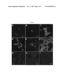 PROCESS FOR REMOVING ETHENE FROM BIOLOGICAL USING METAL EXCHANGED TITANIUM ZEOLITES diagram and image