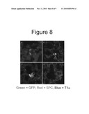 PROCESS FOR REMOVING ETHENE FROM BIOLOGICAL USING METAL EXCHANGED TITANIUM ZEOLITES diagram and image