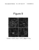 PROCESS FOR REMOVING ETHENE FROM BIOLOGICAL USING METAL EXCHANGED TITANIUM ZEOLITES diagram and image