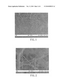 METHOD FOR FORMING METALLIC NANOWIRES diagram and image