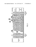 Diagnostic Methods for Diseases Caused by a HPV Infection Comprising Determining the Methylation Status of the HPV Genome diagram and image