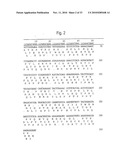 RETROVIRAL NUCLEIC MATERIAL AND NUCLEOTIDE FRAGMENTS, IN PARTICULAR ASSOCIATED WITH MULTIPLE SCLEROSIS AND/OR RHEUMATOID ARTHRITIS, FOR DIAGNOSTIC, PROPHYLACTIC AND THERAPEUTIC USES diagram and image