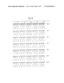 RETROVIRAL NUCLEIC MATERIAL AND NUCLEOTIDE FRAGMENTS, IN PARTICULAR ASSOCIATED WITH MULTIPLE SCLEROSIS AND/OR RHEUMATOID ARTHRITIS, FOR DIAGNOSTIC, PROPHYLACTIC AND THERAPEUTIC USES diagram and image