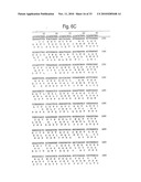 RETROVIRAL NUCLEIC MATERIAL AND NUCLEOTIDE FRAGMENTS, IN PARTICULAR ASSOCIATED WITH MULTIPLE SCLEROSIS AND/OR RHEUMATOID ARTHRITIS, FOR DIAGNOSTIC, PROPHYLACTIC AND THERAPEUTIC USES diagram and image