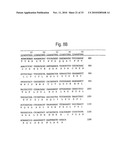 RETROVIRAL NUCLEIC MATERIAL AND NUCLEOTIDE FRAGMENTS, IN PARTICULAR ASSOCIATED WITH MULTIPLE SCLEROSIS AND/OR RHEUMATOID ARTHRITIS, FOR DIAGNOSTIC, PROPHYLACTIC AND THERAPEUTIC USES diagram and image