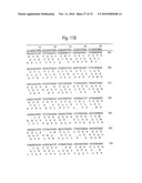 RETROVIRAL NUCLEIC MATERIAL AND NUCLEOTIDE FRAGMENTS, IN PARTICULAR ASSOCIATED WITH MULTIPLE SCLEROSIS AND/OR RHEUMATOID ARTHRITIS, FOR DIAGNOSTIC, PROPHYLACTIC AND THERAPEUTIC USES diagram and image