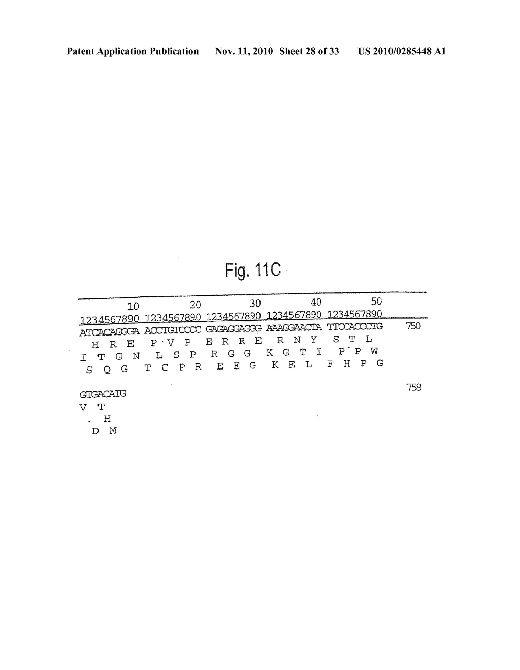 RETROVIRAL NUCLEIC MATERIAL AND NUCLEOTIDE FRAGMENTS, IN PARTICULAR ASSOCIATED WITH MULTIPLE SCLEROSIS AND/OR RHEUMATOID ARTHRITIS, FOR DIAGNOSTIC, PROPHYLACTIC AND THERAPEUTIC USES - diagram, schematic, and image 29