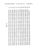 RETROVIRAL NUCLEIC MATERIAL AND NUCLEOTIDE FRAGMENTS, IN PARTICULAR ASSOCIATED WITH MULTIPLE SCLEROSIS AND/OR RHEUMATOID ARTHRITIS, FOR DIAGNOSTIC, PROPHYLACTIC AND THERAPEUTIC USES diagram and image