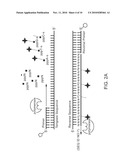 Methods Of Producing And Sequencing Modified Polynucleotides diagram and image