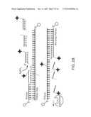 Methods Of Producing And Sequencing Modified Polynucleotides diagram and image