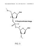 Methods Of Producing And Sequencing Modified Polynucleotides diagram and image