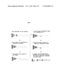 PRIMERS AND PROBES FOR DETECTION OF HIGH RISK GROUP GENO-TYPE HUMAN PAPILLOMAVIRUS DNA, A QUALITATIVE ASSAY METHOD OF THE SAME DNA USING THEM AND A QUALITATIVE ASSAY KIT OF THE SAME DNA diagram and image