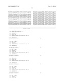 PRIMERS AND PROBES FOR DETECTION OF HIGH RISK GROUP GENO-TYPE HUMAN PAPILLOMAVIRUS DNA, A QUALITATIVE ASSAY METHOD OF THE SAME DNA USING THEM AND A QUALITATIVE ASSAY KIT OF THE SAME DNA diagram and image