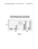 THERMOPHILIC HELICASE DEPENDENT AMPLIFICATION TECHNOLOGY WITH ENDPOINT HOMOGENOUS FLUORESCENT DETECTION diagram and image