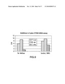 THERMOPHILIC HELICASE DEPENDENT AMPLIFICATION TECHNOLOGY WITH ENDPOINT HOMOGENOUS FLUORESCENT DETECTION diagram and image