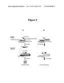 T-STRUCTURE INVASIVE CLEAVAGE ASSAYS, CONSISTENT NUCLEIC ACID DISPENSING, AND LOW LEVEL TARGET NUCLEIC ACID DETECTION diagram and image