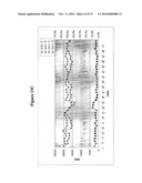 T-STRUCTURE INVASIVE CLEAVAGE ASSAYS, CONSISTENT NUCLEIC ACID DISPENSING, AND LOW LEVEL TARGET NUCLEIC ACID DETECTION diagram and image