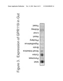 COMBINATION THERAPY FOR THE TREATMENT OF DIABETES AND CONDITIONS RELATED THERETO AND FOR THE TREATMENT OF CONDITIONS AMELIORATED BY INCREASING A BLOOD GLP-1 LEVEL diagram and image