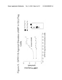 COMBINATION THERAPY FOR THE TREATMENT OF DIABETES AND CONDITIONS RELATED THERETO AND FOR THE TREATMENT OF CONDITIONS AMELIORATED BY INCREASING A BLOOD GLP-1 LEVEL diagram and image