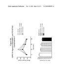 COMBINATION THERAPY FOR THE TREATMENT OF DIABETES AND CONDITIONS RELATED THERETO AND FOR THE TREATMENT OF CONDITIONS AMELIORATED BY INCREASING A BLOOD GLP-1 LEVEL diagram and image