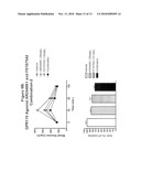 COMBINATION THERAPY FOR THE TREATMENT OF DIABETES AND CONDITIONS RELATED THERETO AND FOR THE TREATMENT OF CONDITIONS AMELIORATED BY INCREASING A BLOOD GLP-1 LEVEL diagram and image