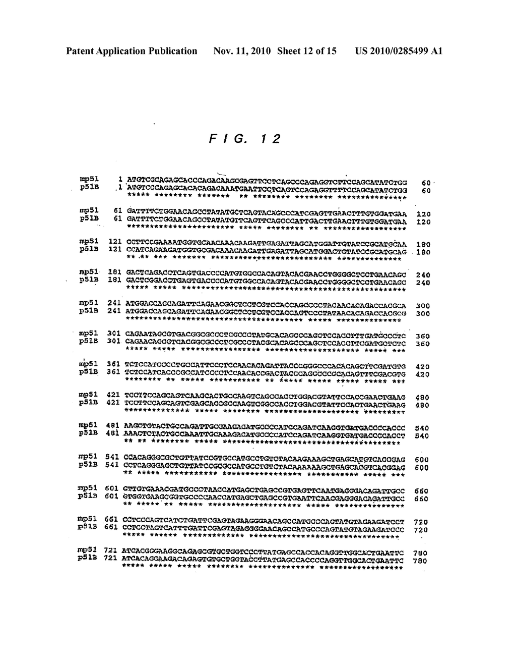 HUMAN p51 GENES AND GENE PRODUCTS THEREOF - diagram, schematic, and image 13