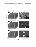 ELECTROCHEMICAL BIOSENSOR diagram and image